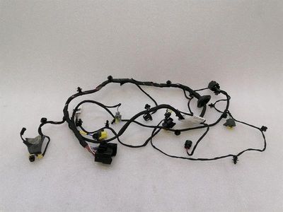 Ferrari 812 Superfast F152M Wiring Loom 879430 LH DOOR Wiring Harness