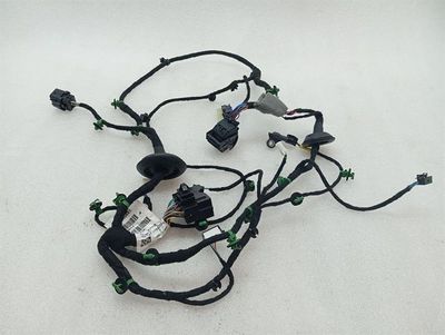 Ferrari Purosangue F175 Wiring Loom 845641 FL DOOR Wiring Harness