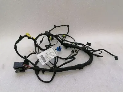 Ferrari GTC4 Lusso F151M Wiring Loom 815270 RH DOOR RHD Wiring Harness
