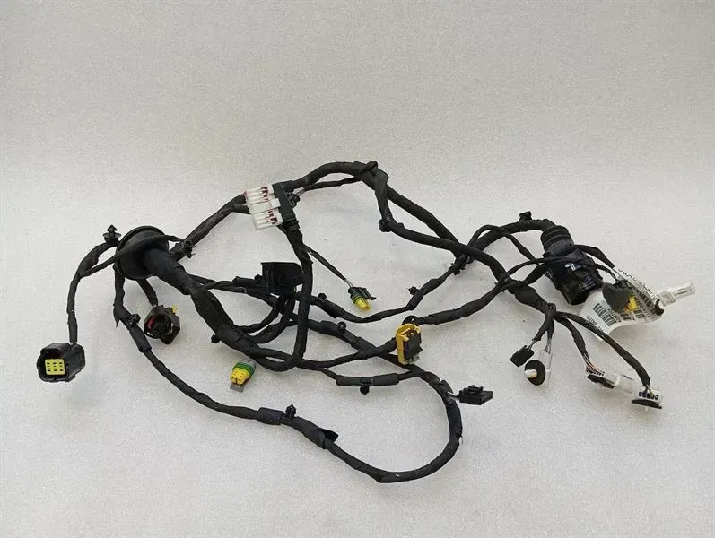 Ferrari FF F151 Wiring Loom LEFT DOOR 283750 Harness DOOR LEFT
