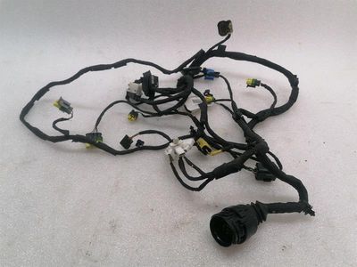 Ferrari FF F151 Wiring Loom RIGHT DOOR 283749 Wiring Harness RIGHT DOOR