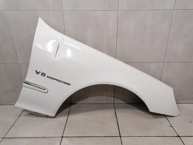 Mercedes S-class W220 Right Wing A2208800418 Front Right Fender