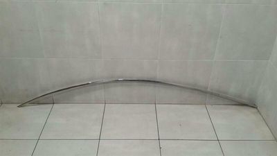 Bentley Continental GT Left Body Moulding 3W8853703F Bar Left