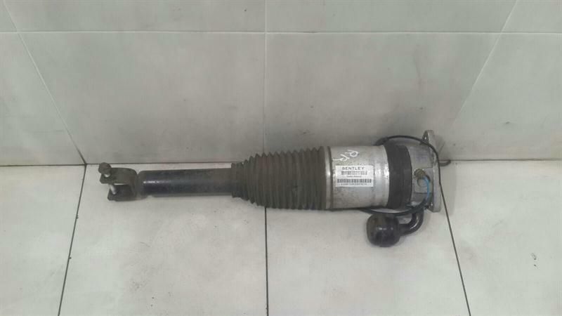 Bentley Continental GT W12 shock absorber rear 3W0616002E shock absorber rear RE