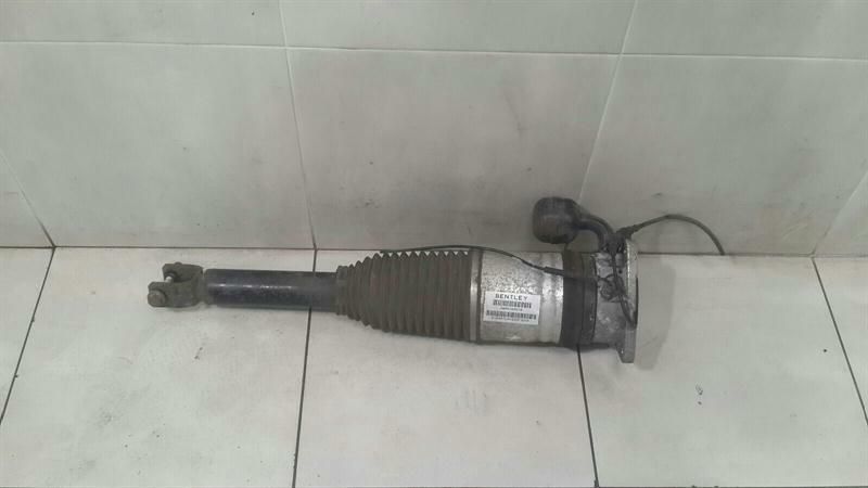 Bentley Continental GT W12 shock absorber rear 3W0616001E shock absorber rear Li