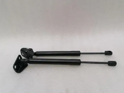 Chevrolet Corvette C7 Boat Lid Strut 23356448 Gas Pressure Damper Tailgate