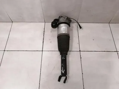 Bentley Continental Flying Spur Shock Absorber Rear 3W5616001C Shock Absorber