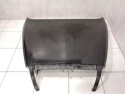 BENTLEY CONTINENTAL FLYING TRACK Bonnet 3W0823031K Hood