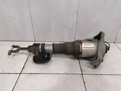 Bentley Continental GT Shock Absorber Front 3W0616039C Shock Absorber Front Left