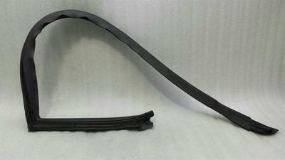 DODGE CHALLENGER SRT Right Door Seal 04575890AD Door Seals Right
