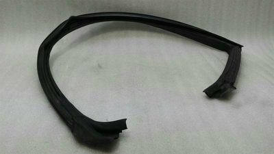 DODGE CHALLENGER SRT Left Door Seal 04575891AD Door Seals Left