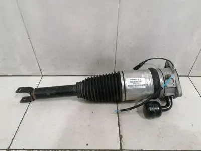 Bentley Continental GT W12 shock absorber rear 3W8616002 shock absorber rear