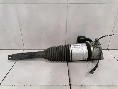 BENTLEY CONTINENTAL GT Shock Absorber RLH 3W0616001C Shock Absorber Rear Left