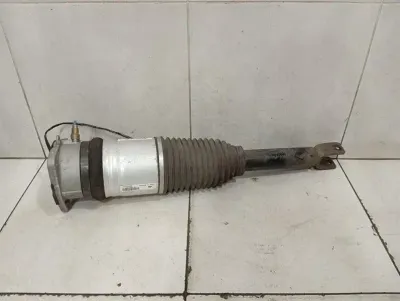 Bentley Continental GT W12 shock absorber rear 3W0616002B shock absorber rear