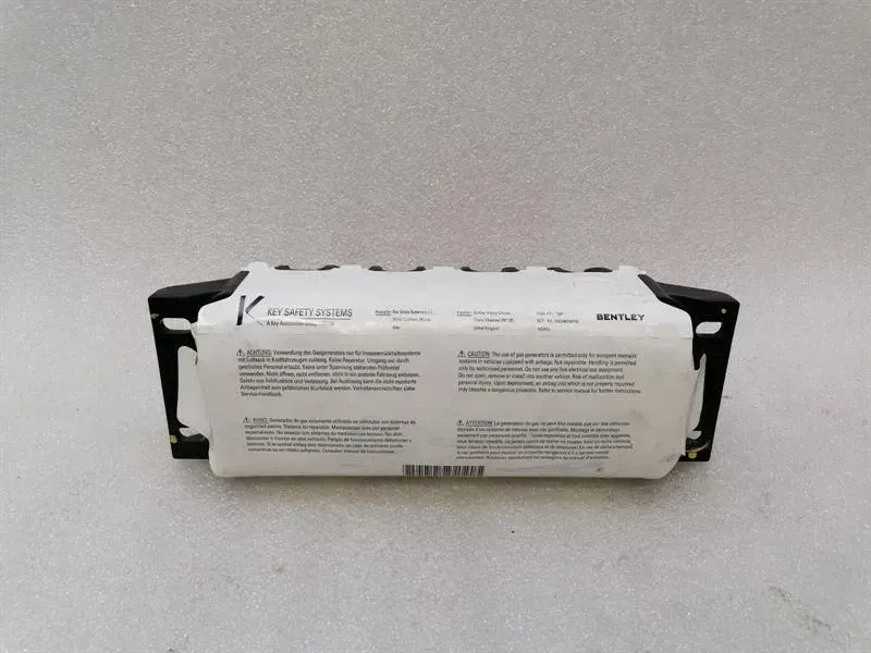 Bentley Continental GT W12 Module 3W0880204G Module