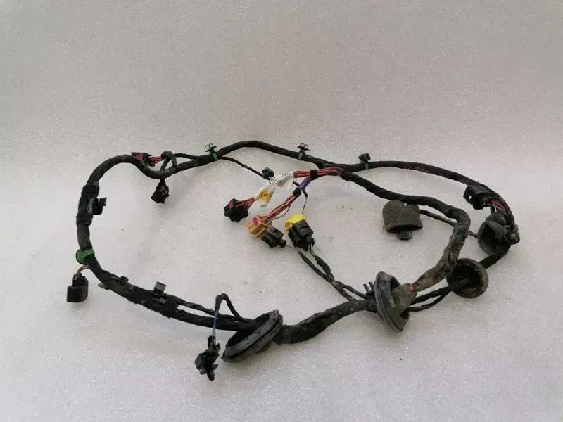 BENTLEY CONTINENTAL GT W12 Wiring Loom 3W0971120AB Wiring Harness DRIVERS DOOR