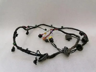 BENTLEY CONTINENTAL GT W12 Wiring Loom 3W0971120AB Wiring Harness DRIVERS DOOR