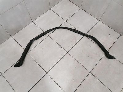 CHEVROLET CORVETTE C6 Z06 LS7 ROOF SEAL 10317063 GASKETS ROOF