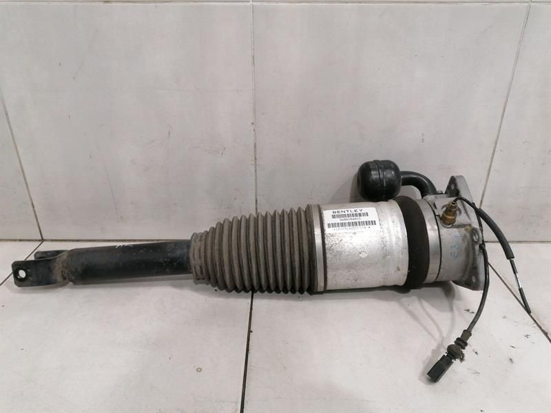 BENTLEY FLYING TRACK Shock Absorber Rear 3W5616001C Shock Absorber Rear Left