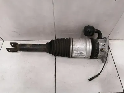BENTLEY CONTINENTAL GT W12 Shock Absorber RLH 3W0616001B Shock Absorber Rear Li