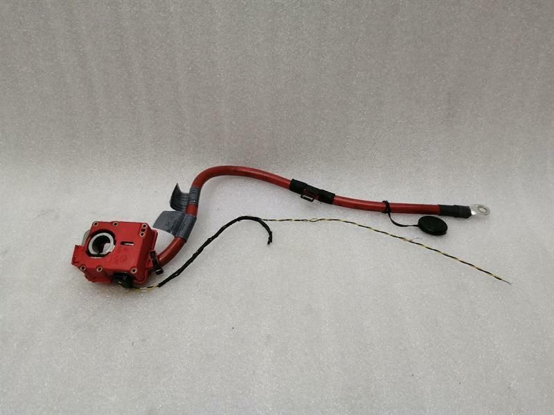 BMW 7 series F02 F01 Wiring Loom / Plus Cable 9217032 Plus Cable
