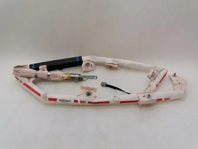 TESLA MODEL S 90D Roof Module 1005262-00-D Module CURTAIN ROOF HEAD