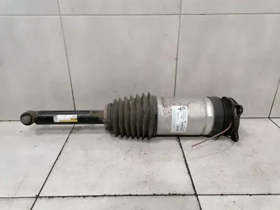 Tesla Model S 90D Left Shock Absorber Rear 1067461-00-C Shock Absorber Rear Left