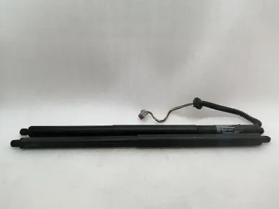 Tesla Model S 70 boat lid strut set 6006610-00-B gas spring gas pressure damper