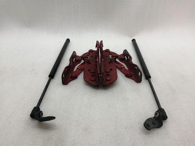 Tesla Model S 70 Bonnet Hinge set1029284-99-D hood hinge set