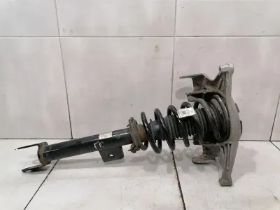 Tesla Model 3 Standard Range Shock Absorber FRH 1044369-01-F Front Shock Absorber