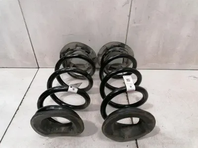 Tesla Model 3 Standard Range Coil Spring Rear 1044472-01-E Rear Suspension Spring