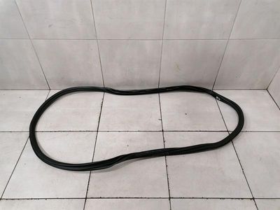 BMW iX i20 40 REAR RIGHT door seal 8491451 door gaskets rear right