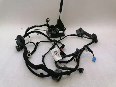 JAGUAR i-PACE X590 EV400 Door Lock J9D3-24994-AF Door Lock REAR RIGHT REAR RE