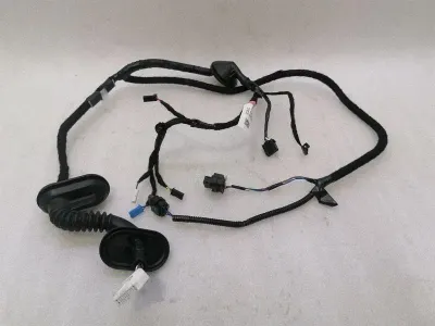 Tesla Model 3 Standard Range RLH Door Wiring 2067965-00-B Rear L Door Harness