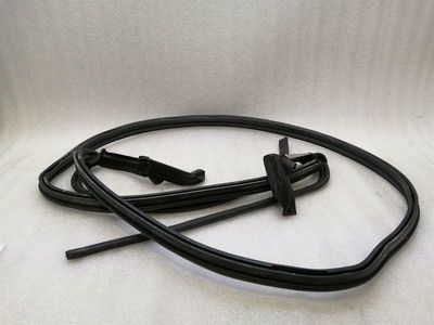 ASTON MARTIN VANTAGE V8 W/STRIP BARREL 6G33-L51452-AF Convertible Seals