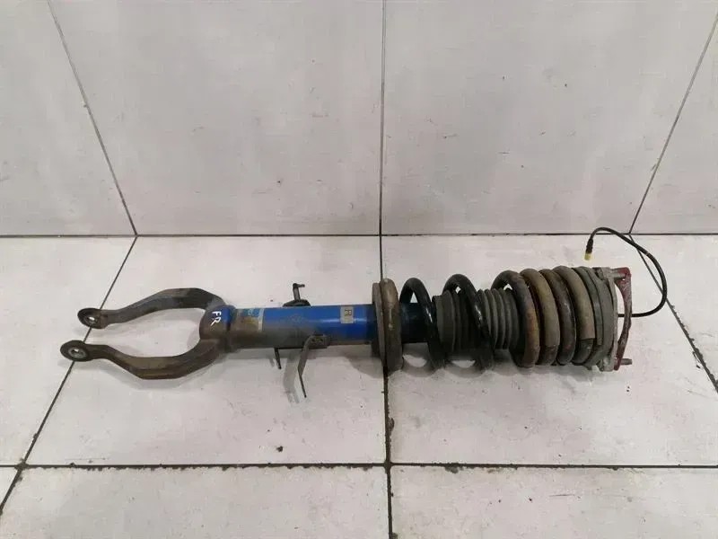 Nissan GT-R R35 Shock Absorber FRH E611038B0A Shock Absorber Front Right EDC