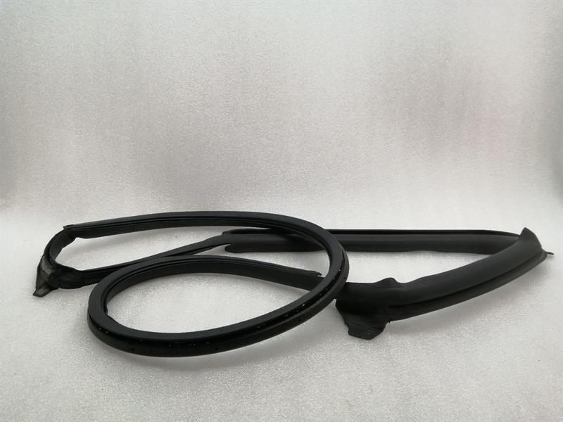 Tesla Model S 100D Door Seal 6009585-00-I Door Seals REAR RIGHT REAR RE