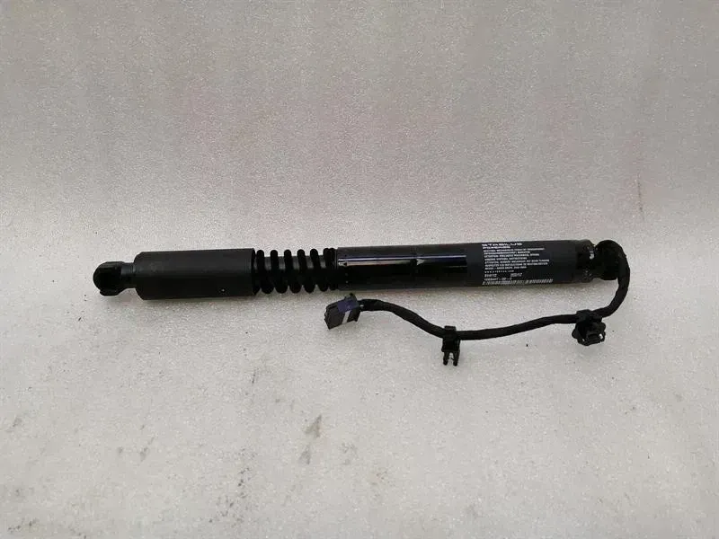 Tesla Model X 75D Falcon Door Strut 1063441-00-C Door Lift Gas Struts Left