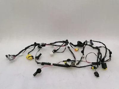 Tesla Model X 75D RLH Door Wiring Loom 1032441-80-G Wiring Harness Rear Left Door