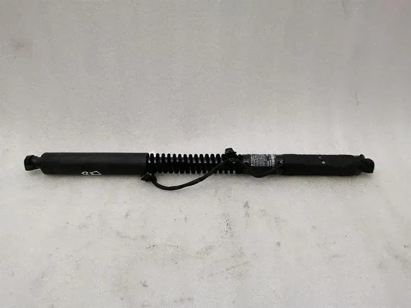Tesla Model X 75D Rear Falcon Door Strut 1063441-00-C Strut Rear Door