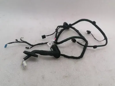 Tesla Model 3 Long Range RLH Door Wiring 2067965-00-B Rear L Door Harness