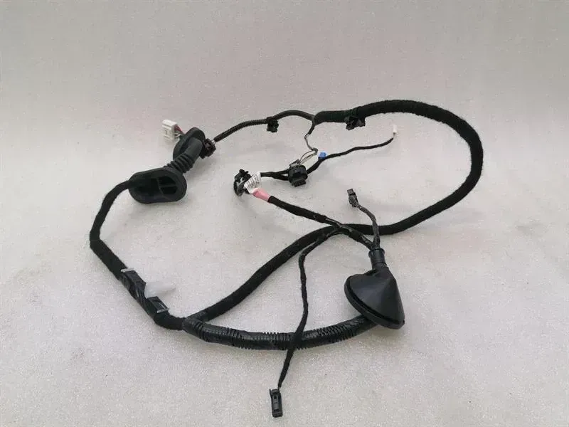 TESLA MODEL 3 STANDARD RANGE RR DOOR Wiring Loom 2067966-00-A Wiring Harness HR TUR