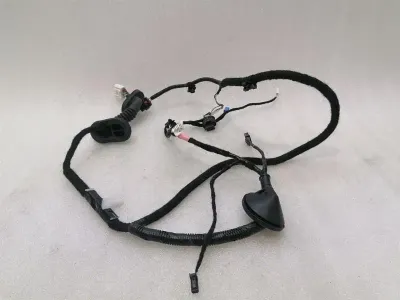 TESLA MODEL 3 STANDARD RANGE RR DOOR Wiring Loom 2067966-00-A Wiring Harness HR TUR