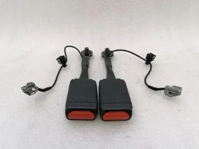 Tesla Model 3 Belt Buckle set 1090323-01-D belt buckle set