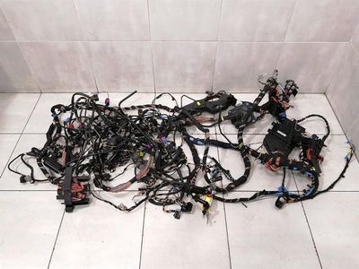 Porsche Cayman 981 GT4 Wiring Loom 981612201 RIGHT HANDLE RHD