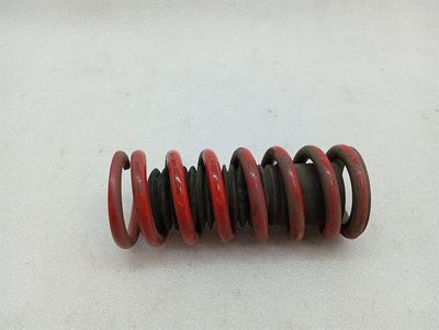 Porsche GT4 Spyder 718 coil spring front 98133353181 suspension spring front