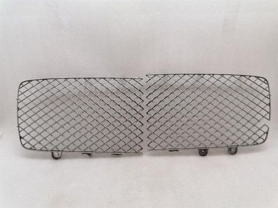 Bentley Continental GT 18-24 3S 3SD Front Grille 3SD853684A Radiator Grille
