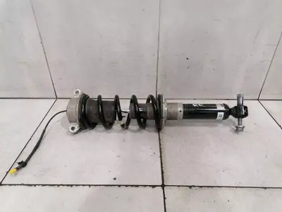 Ferrari Rome F169 Shock Absorber Rear 326599 Shock Absorber Rear