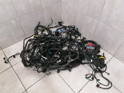 Ferrari Roma F169 Wiring Loom RHD MAIN Harness MAIN RHD