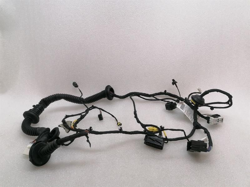 Ferrari Roma F169 Wiring Loom 963415 Harness LEFT DOOR LEFT DOOR